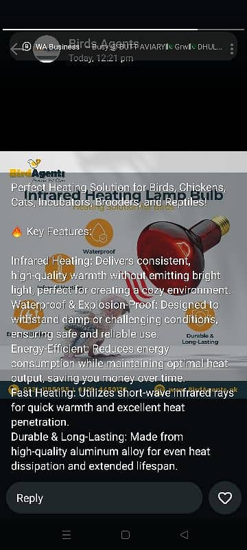 infrared Heating lamp blub 03084017127 1