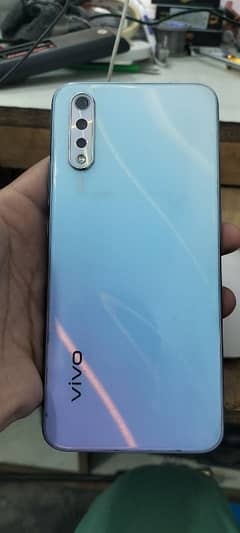 vivo