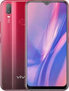 vivo