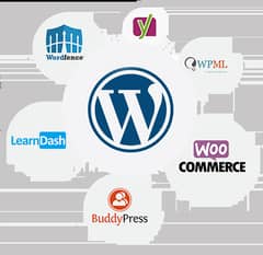 Professional WordPress Web Development Services