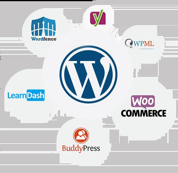 Professional WordPress Web Development Services 0