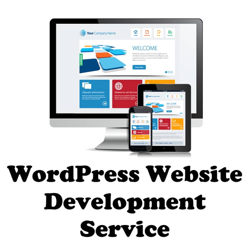 Professional WordPress Web Development Services 1