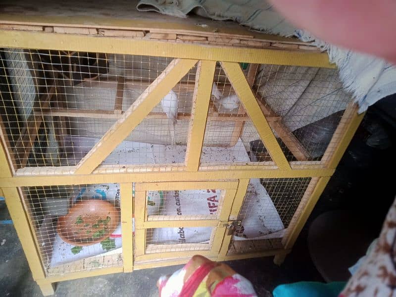 cage for sale 0