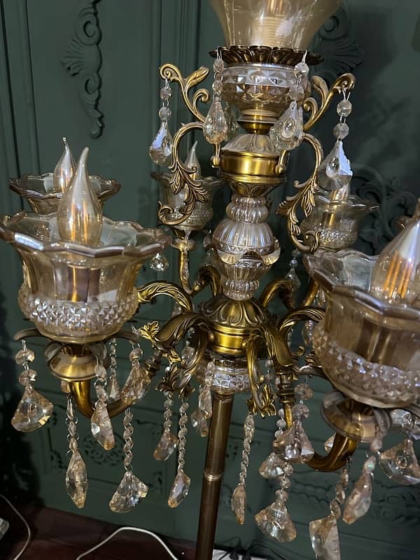 Chandelier / Floor Standing Chandelier / Floor lamps 5