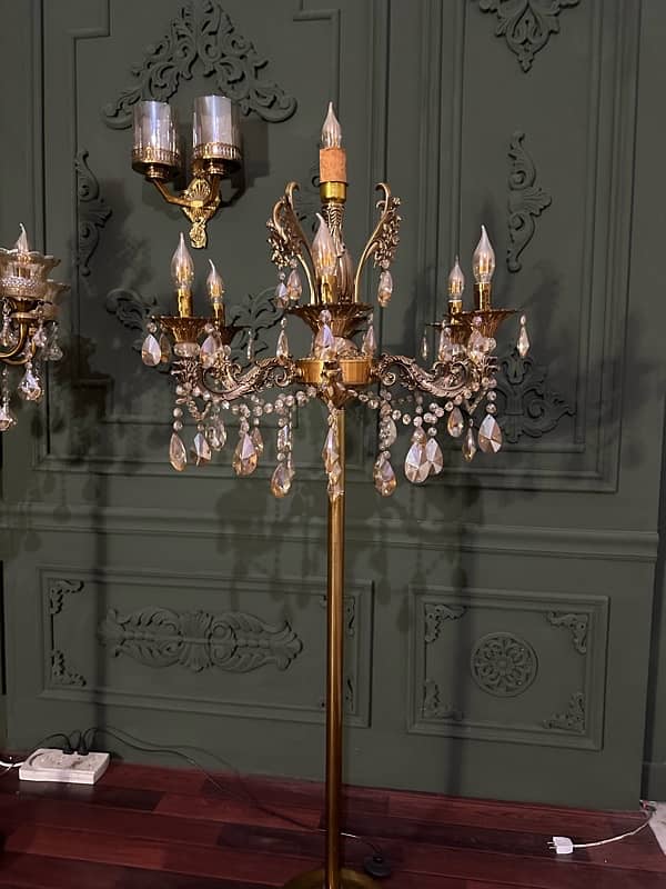 Chandelier / Floor Standing Chandelier / Floor lamps 7