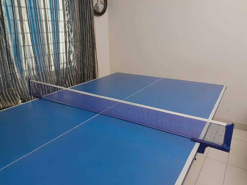 Table Tennis Set (table and net) 6