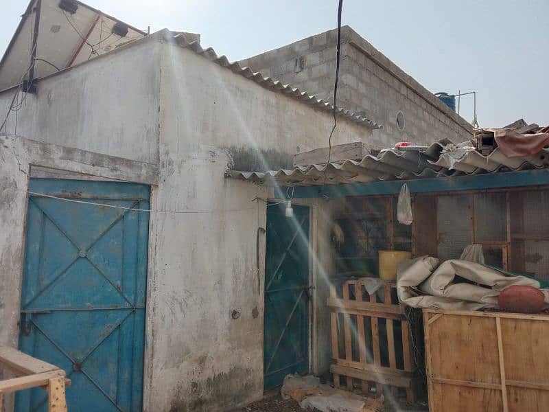 Double Story House For sale (shah nawaz bhutto Colony) 13