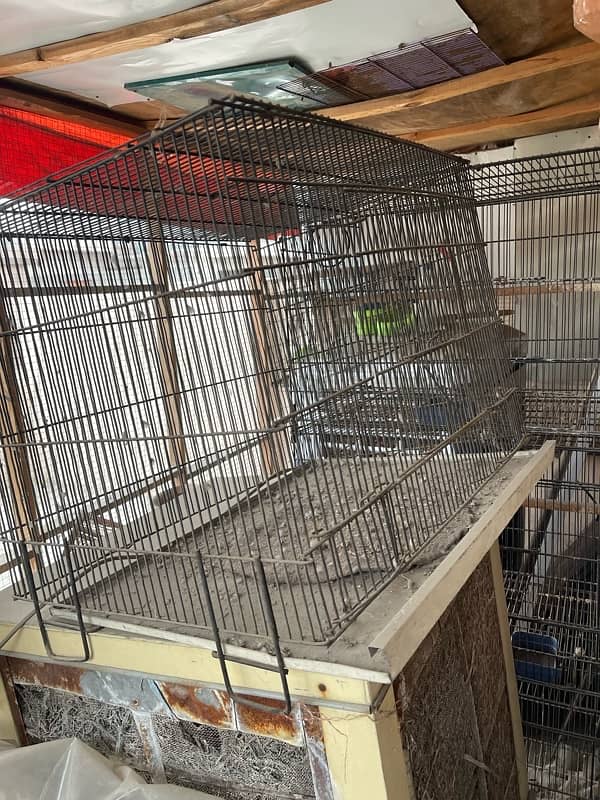 birds cages for sale read ad 1