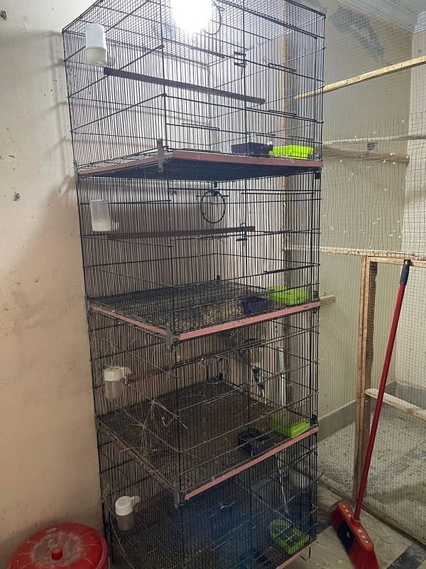 birds cages for sale read ad 3