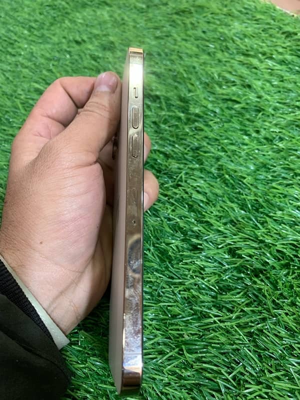 iphone 12 pro max pta approved 1