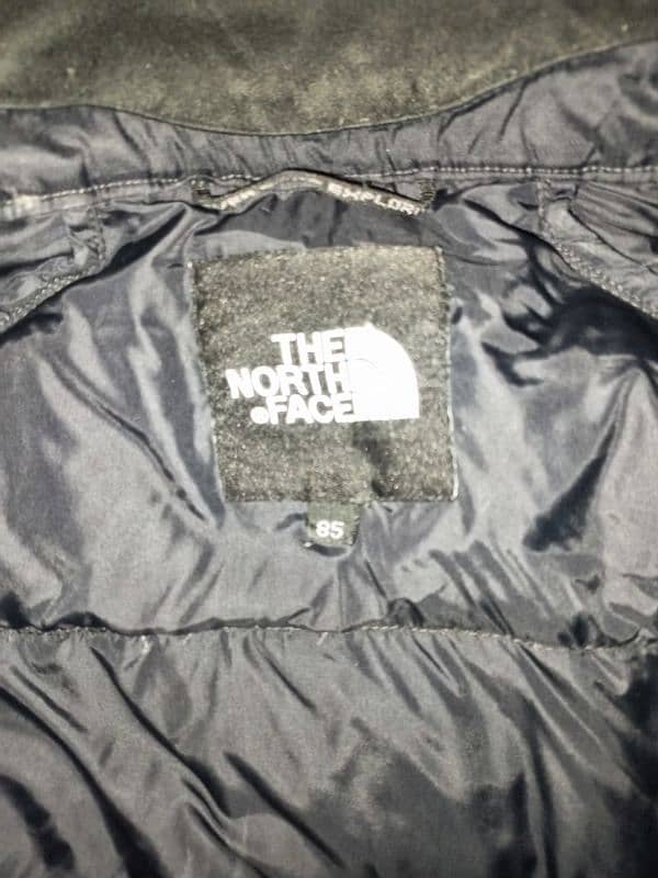 Original North Face 8