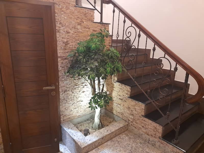 1 kanal Spanish ( separate gate) upper portion available for rent 2