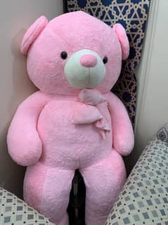 teady bear pink colour