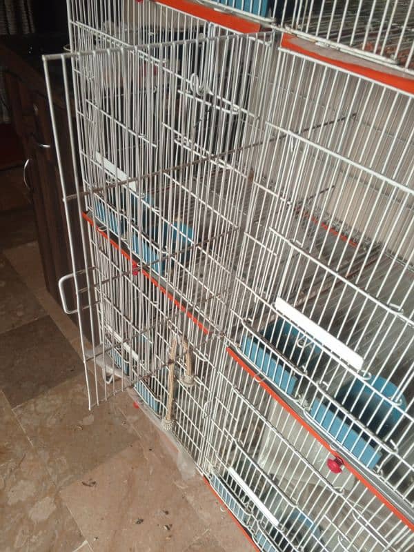 Green parrot cage 2