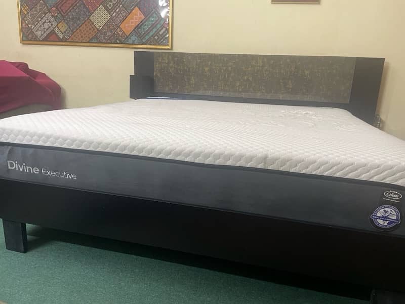 bed/double bed/single bed/king size bed/wooden bed/habbit original bed 8