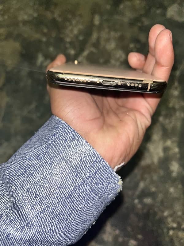 iPhone Xs Max (03037723400) 4