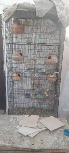 Bird's cage / Pinjray for sale