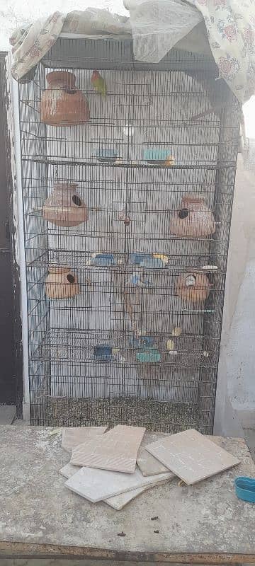 Bird's cage / Pinjray for sale 0