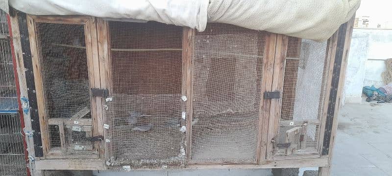 Bird's cage / Pinjray for sale 1