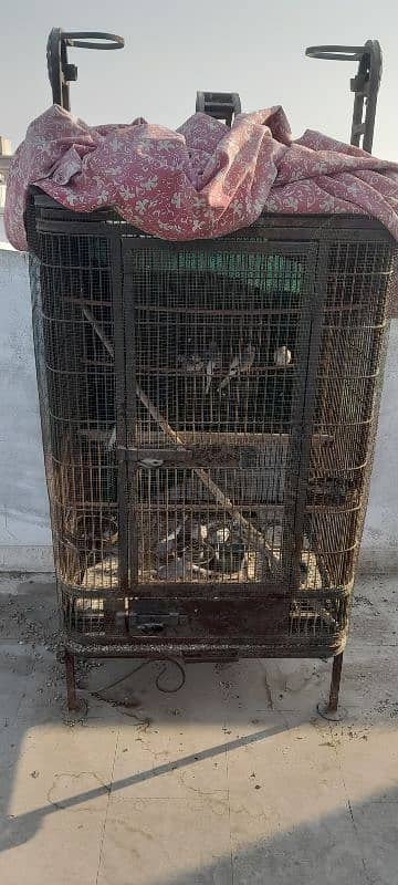 Bird's cage / Pinjray for sale 3