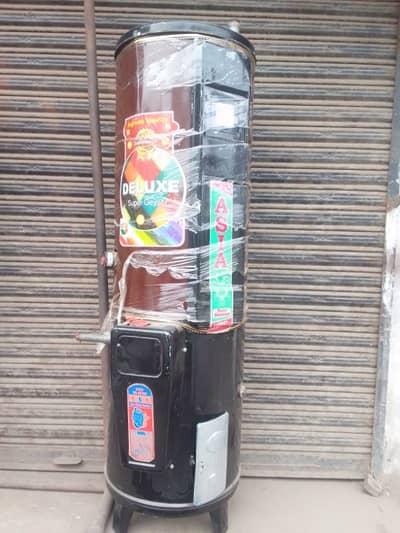 35gallon geyser electric gas