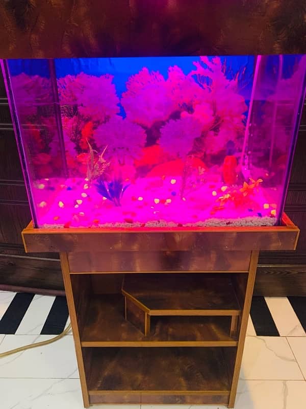 Aquarium for sale large size 3