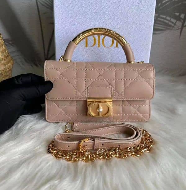 Dior Bag 1