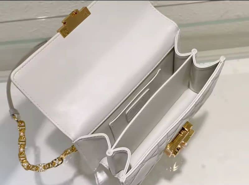 Dior Bag 6