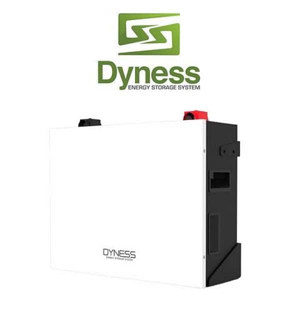 Dyness 51.2v best Lithium-Ion Battery/solar battery/lithium battery/ 1