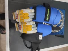 thi pad+ gloves +guard