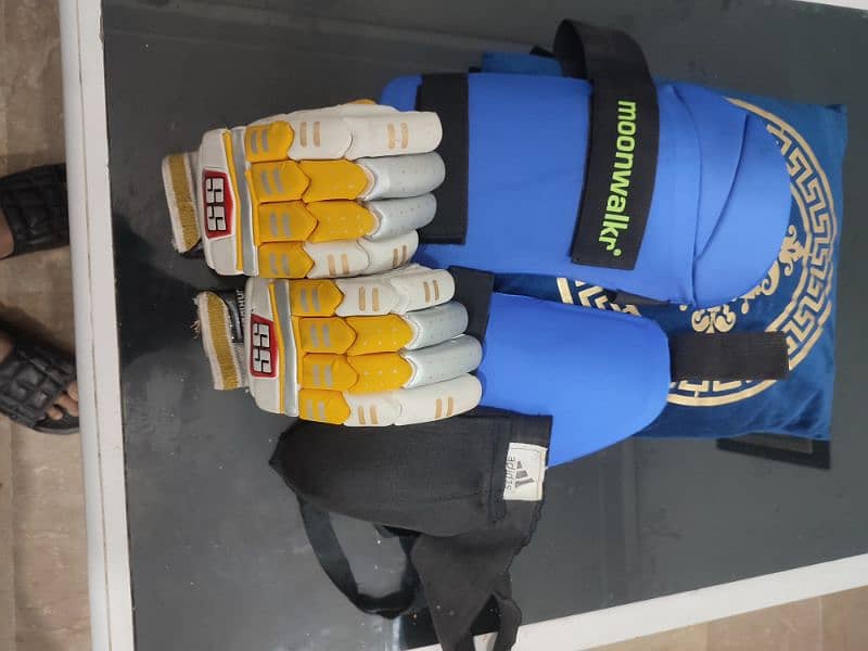 thi pad+ gloves +guard 1