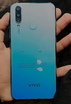 vivo