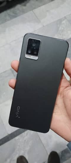 vivo