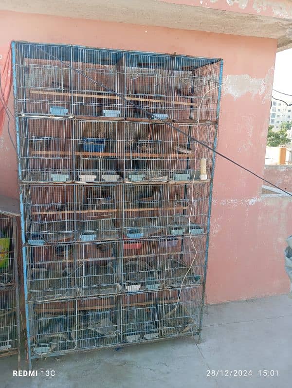 Bird cage 0