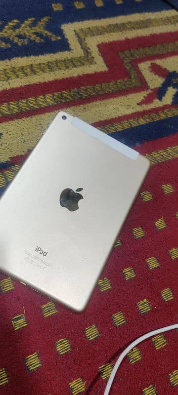 I pad mini 3 1