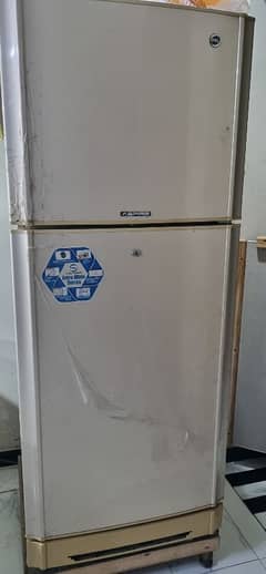 PEL FRIDGE IN GUD CONDIITON ORIGNAL GAS 100 PERCENT OK