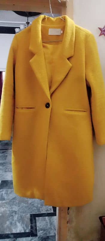 long coat 2