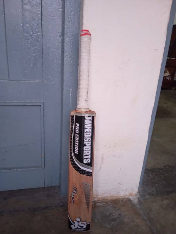 Cricket bat 2