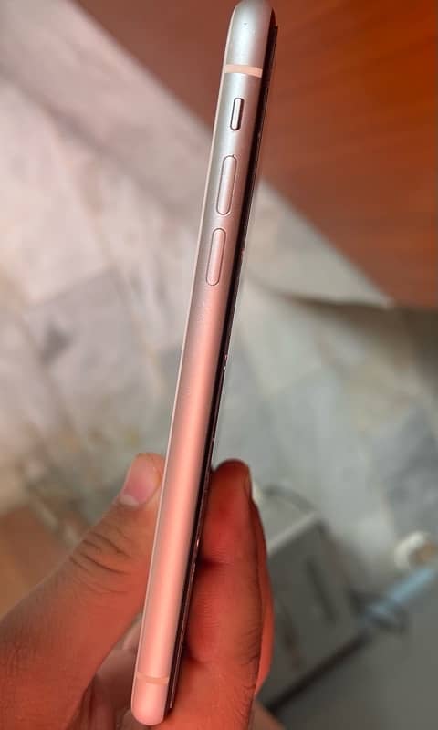 IPHONE 11 {128GB} 1