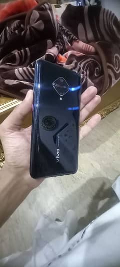 vivo