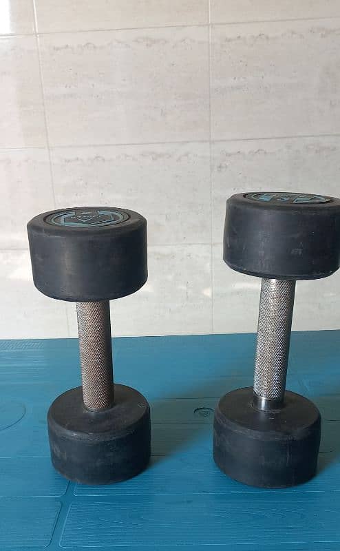 Apollo rubber dumbbells blueray 2pc-steel grip iron rubber coated 1