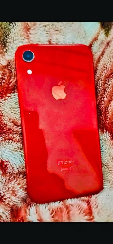 iPhone XR fresh condition All okay back brake Contact 03120179497 3