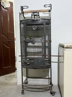 Grey parrot fancy cage