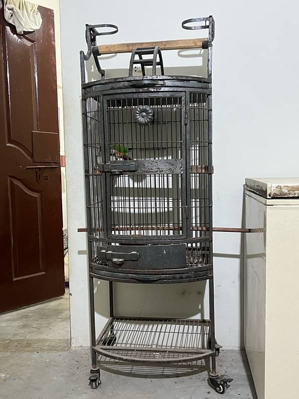 Grey parrot fancy cage 0