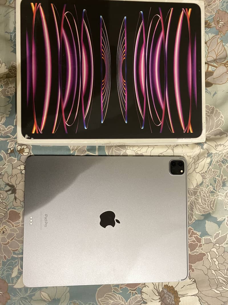 iPad Pro M2 - 256gb 4