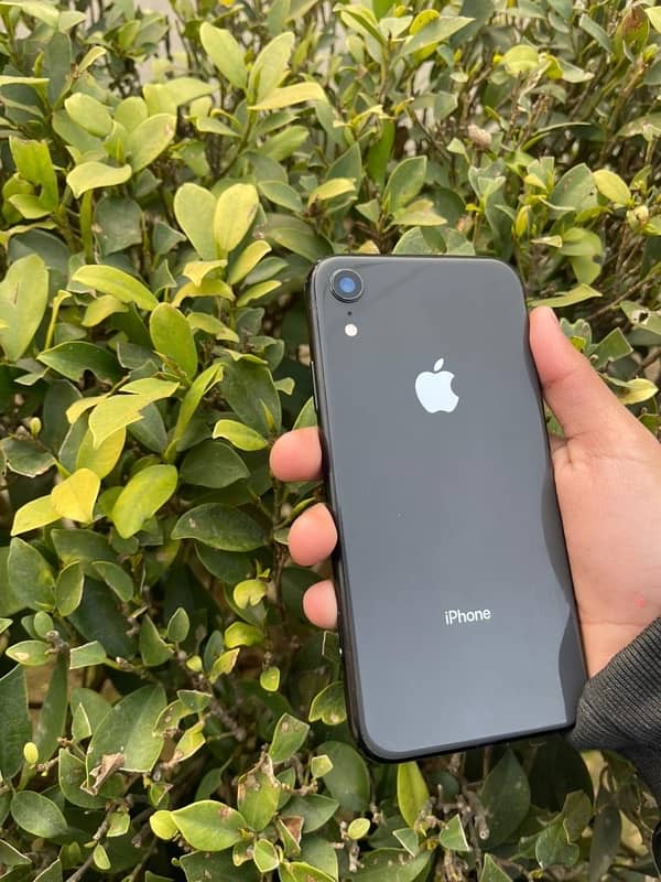 iphone xr 1