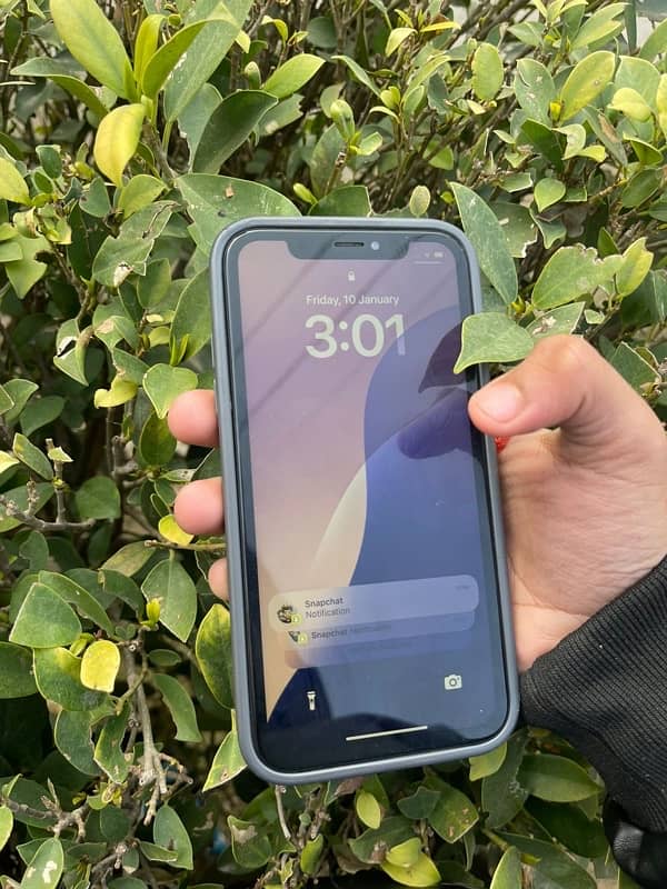 iphone xr 3