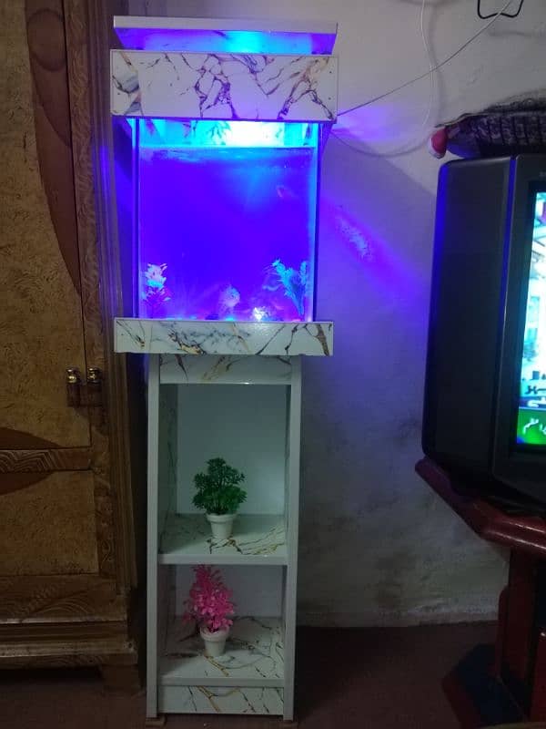 fish Aquarium 0