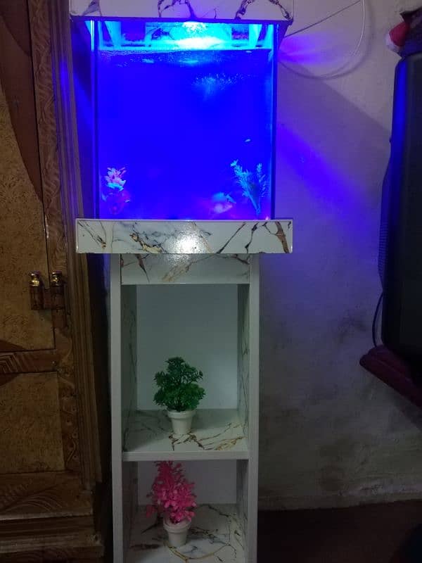 fish Aquarium 1