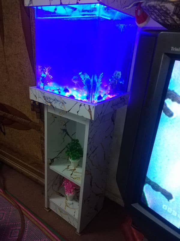 fish Aquarium 2